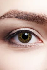 Warm Hazel